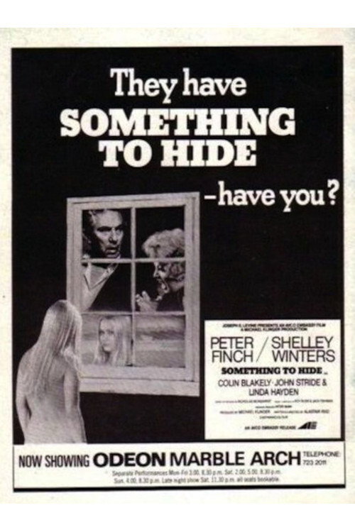 Something to Hide постер