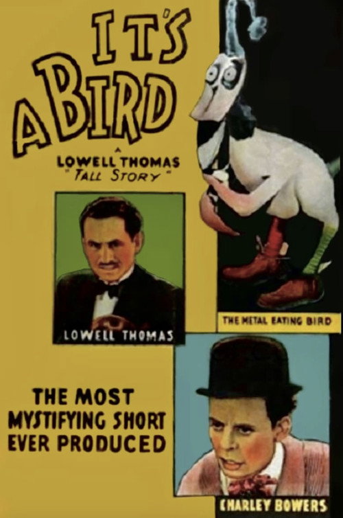 It's a Bird постер