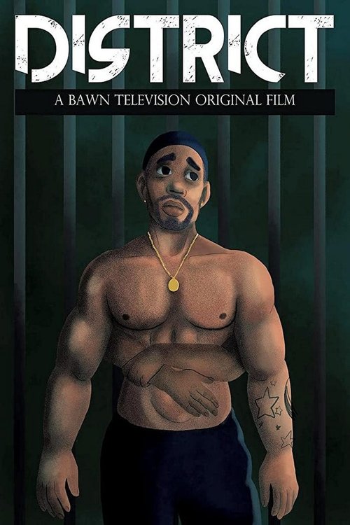 District постер