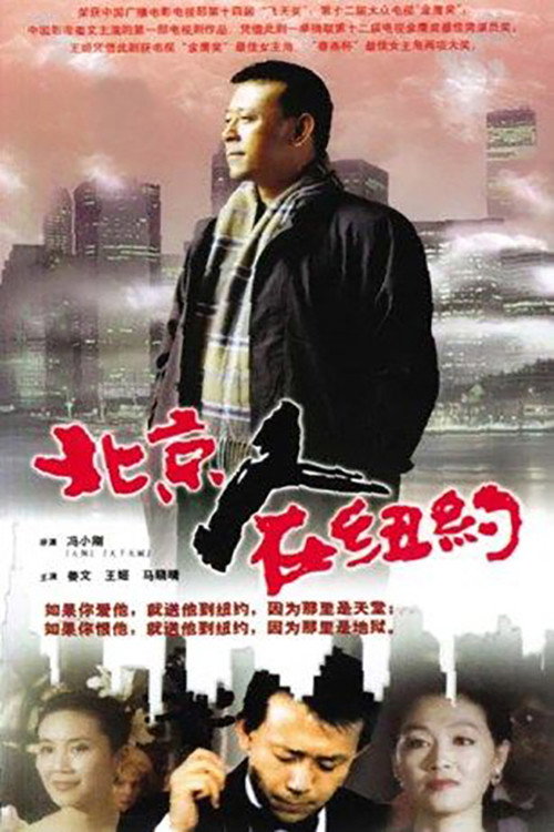北京人在纽约 постер