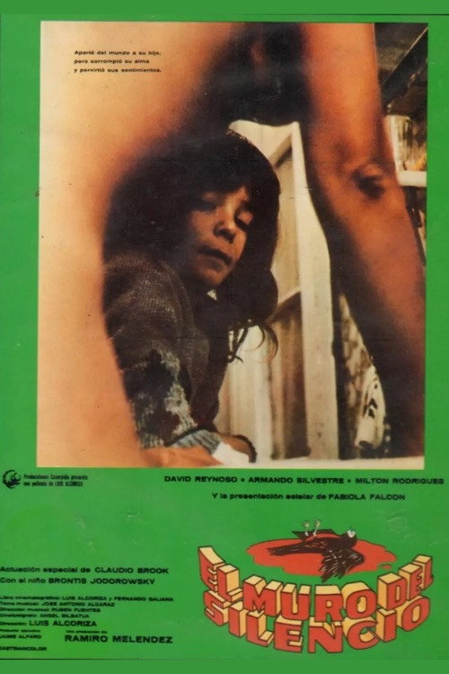 El muro del silencio постер