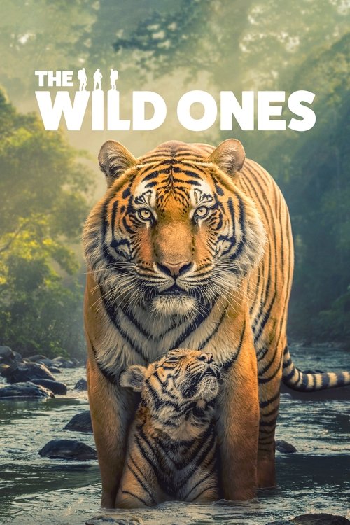 The Wild Ones постер