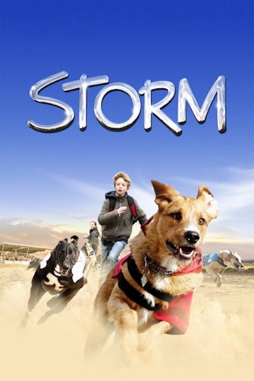 Storm постер