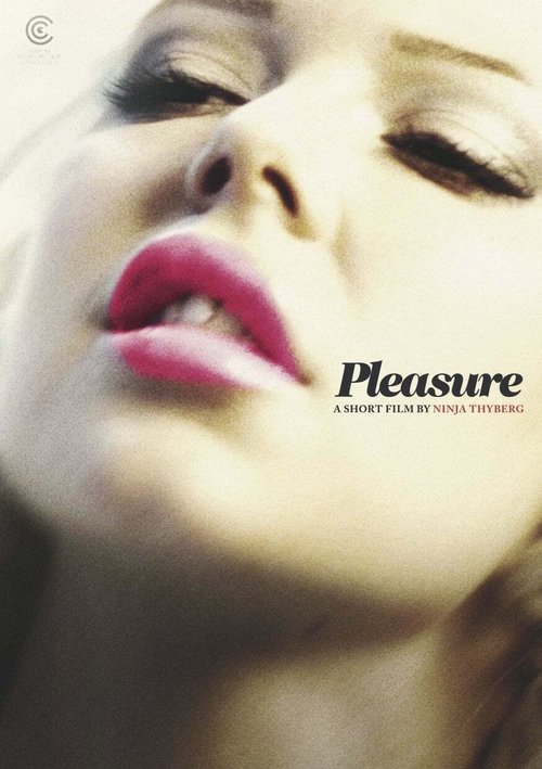 Pleasure постер