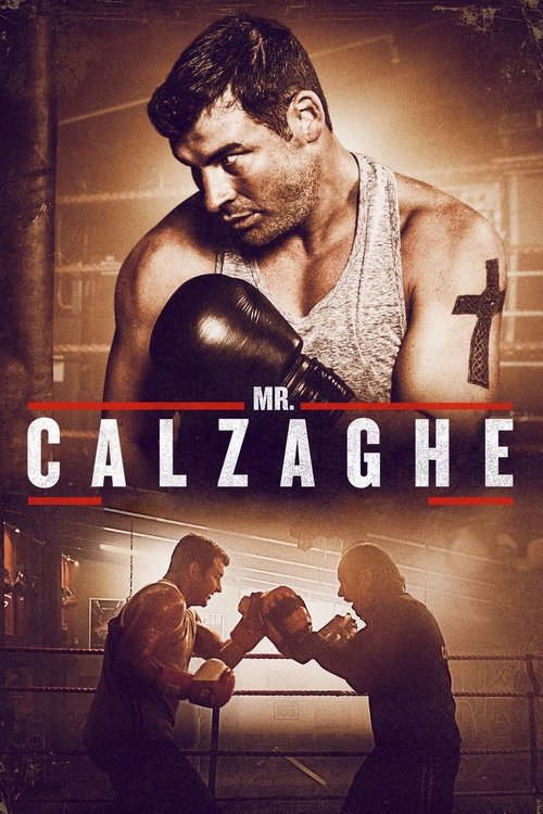 Mr. Calzaghe постер