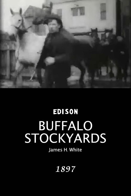 Buffalo Stockyards постер