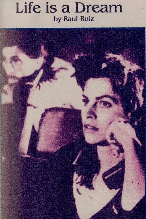 Mémoire des apparences постер