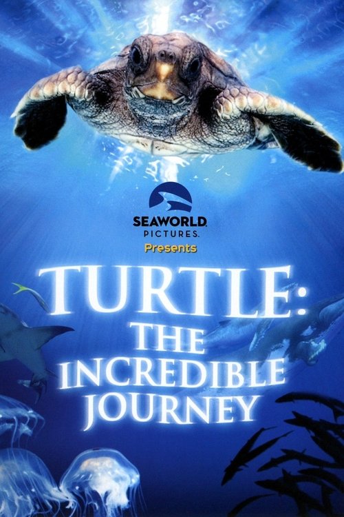 Turtle: The Incredible Journey постер