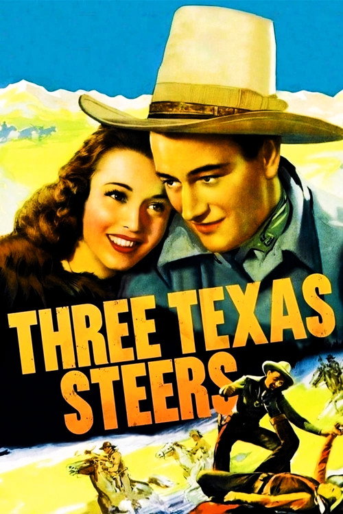 Three Texas Steers постер