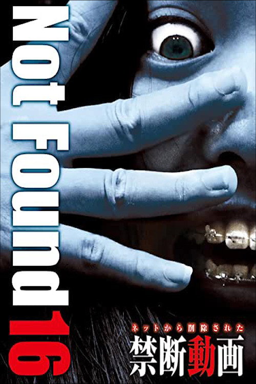 ネットから削除された禁断動画16 постер