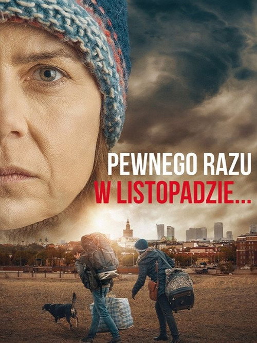 Once Upon a Time in November постер