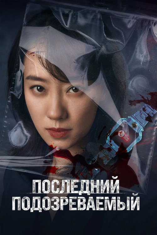 Последний подозреваемый постер
