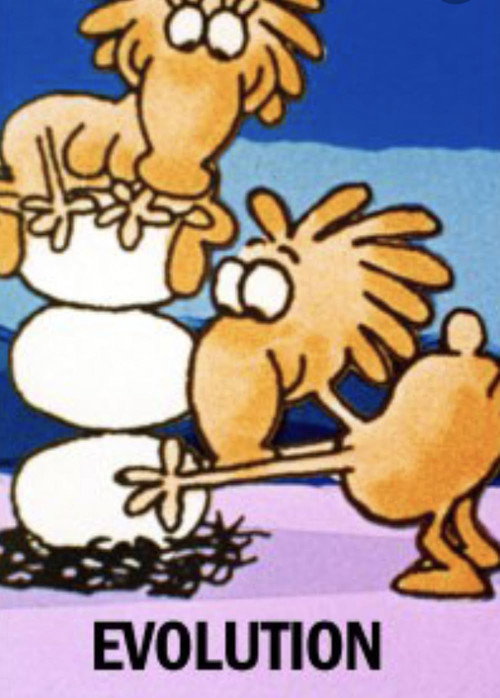 Evolution постер