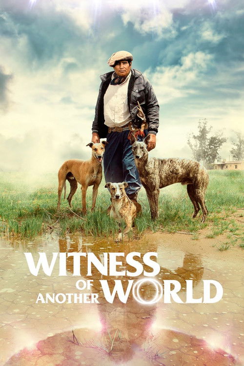 Witness of Another World постер