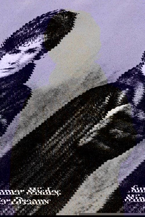 Summer Wishes, Winter Dreams постер