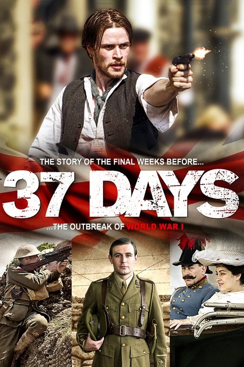37 Days постер