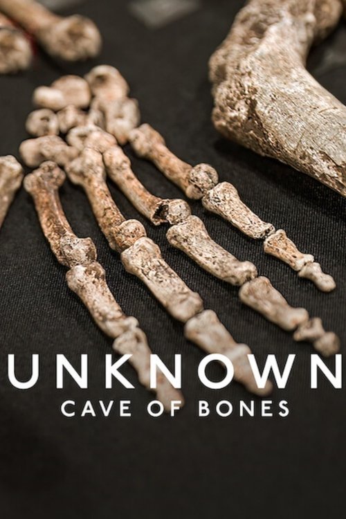 Unknown: Cave of Bones постер
