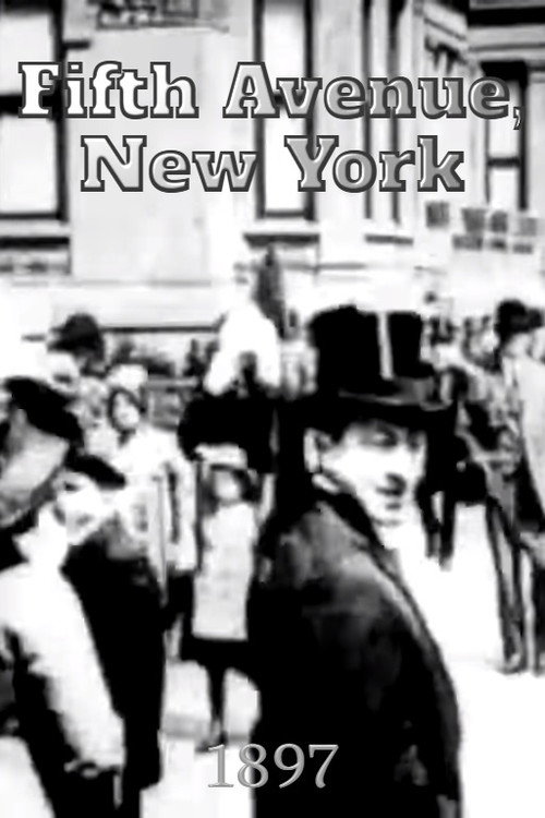 Fifth Avenue, New York постер