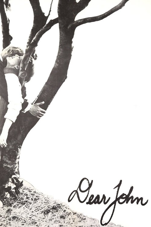 Käre John постер