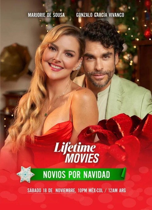 Novios por Navidad постер