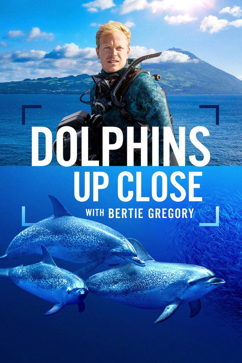Dolphins Up Close with Bertie Gregory постер