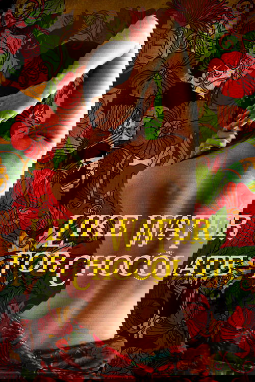 Как вода для шоколада постер