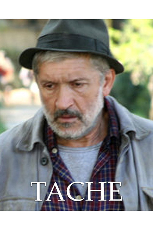Tache постер