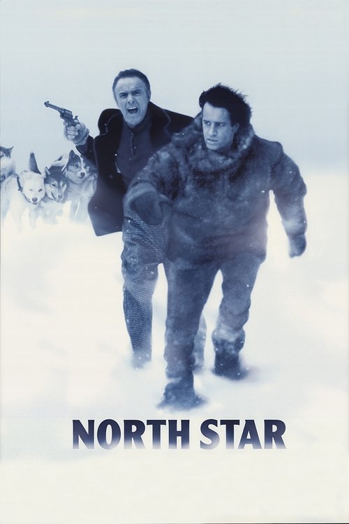 North Star постер