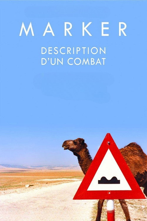 Description d'un combat постер