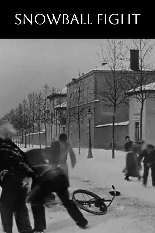 Игра в снежки постер