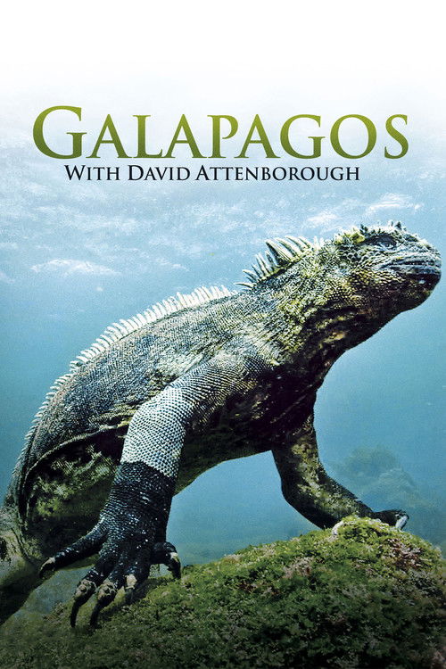 Galapagos 3D with David Attenborough постер