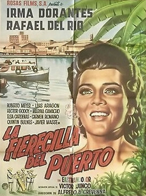 La fierecilla del puerto постер
