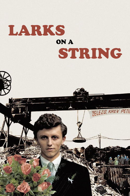 Larks on a String постер