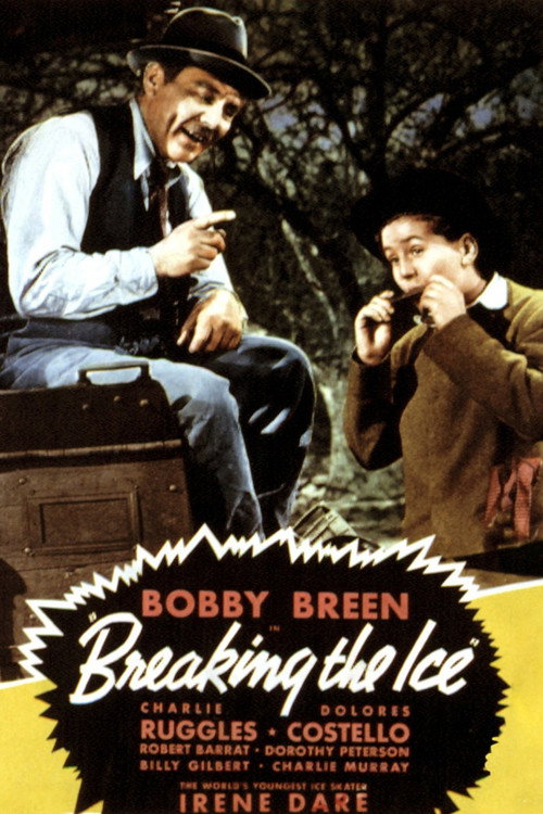 Breaking the Ice постер