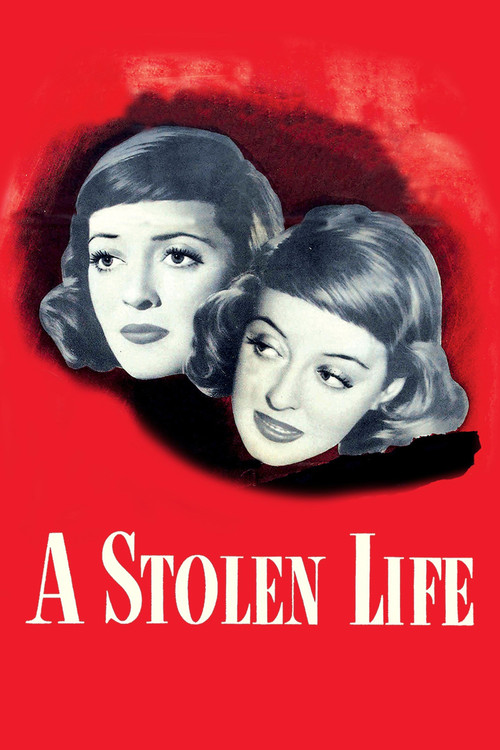 A Stolen Life постер