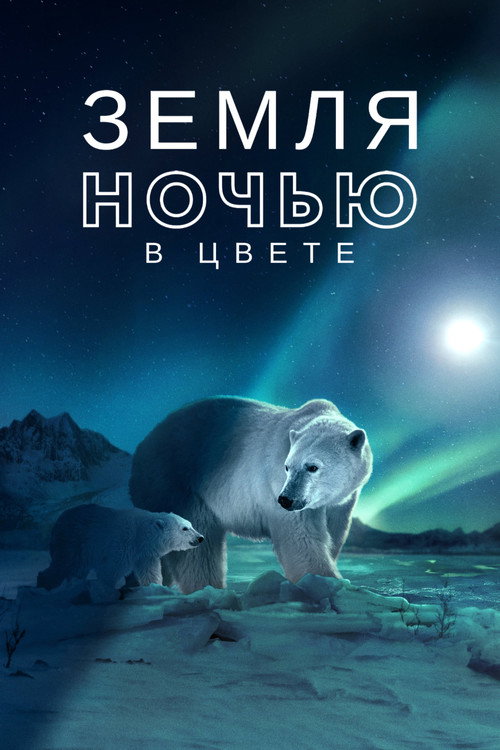 Земля ночью в цвете постер