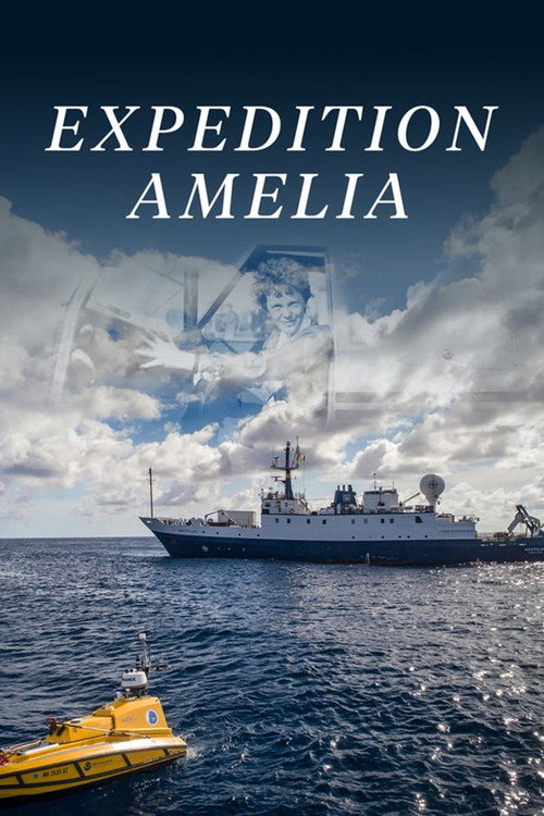 Expedition Amelia постер