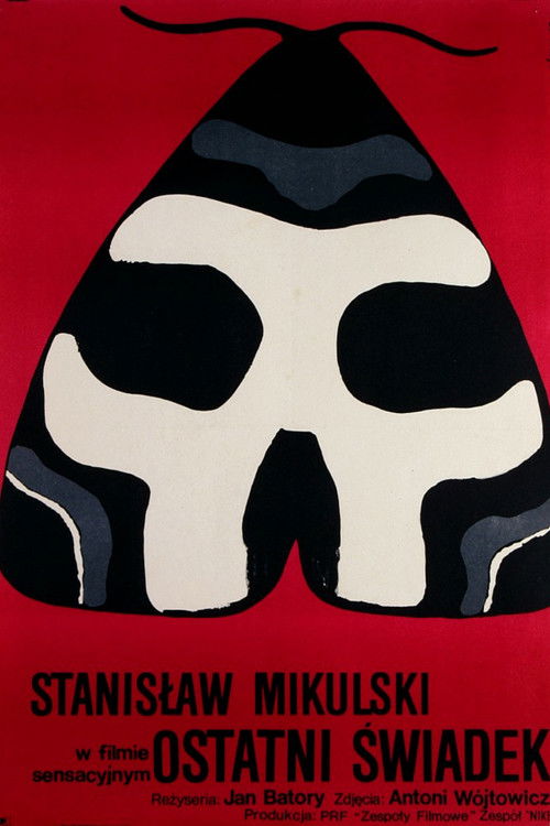 Последний свидетель постер