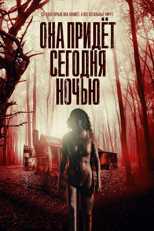 Она придёт сегодня ночью постер
