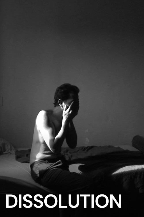 Dissolution постер