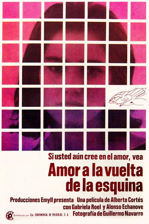 Amor a la vuelta de la esquina постер