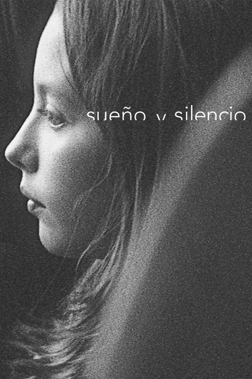 Dream and Silence постер