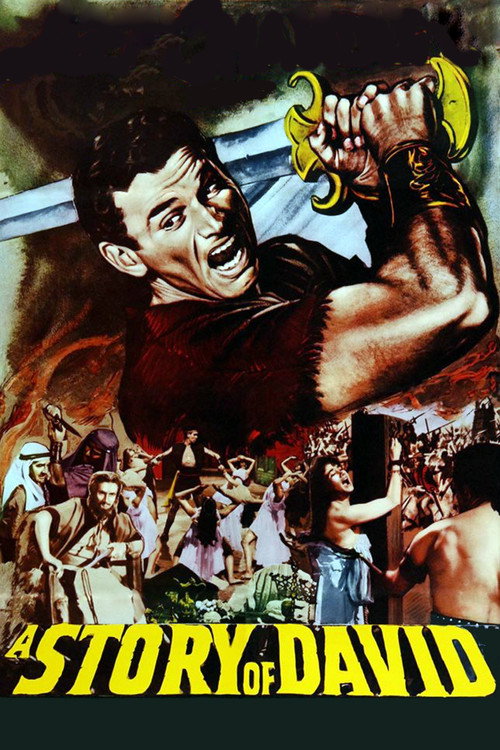 A Story of David постер