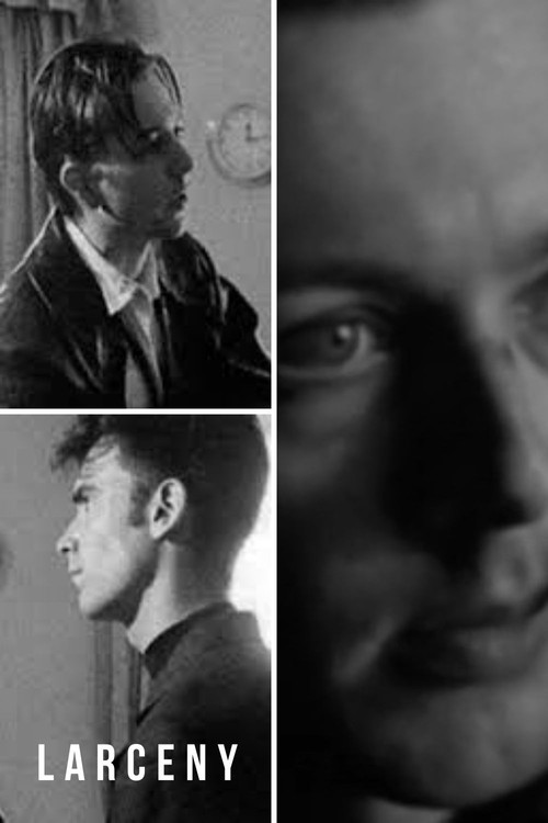 Larceny постер