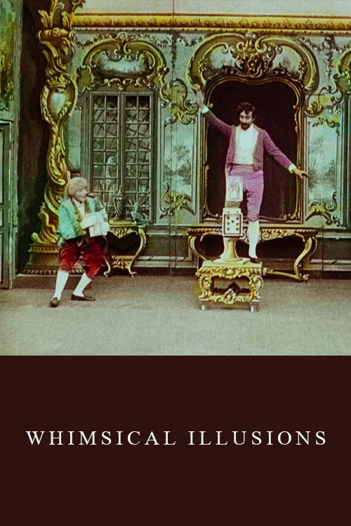 Whimsical Illusions постер