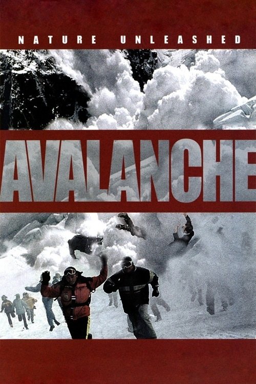 Nature Unleashed:  Avalanche постер