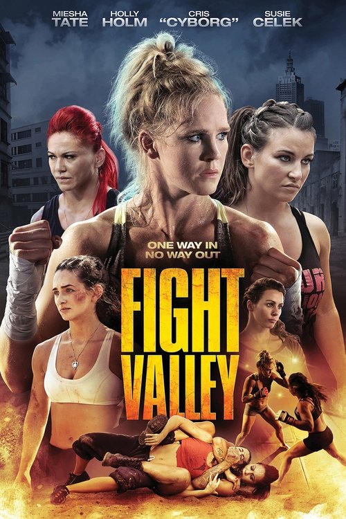 Fight Valley постер