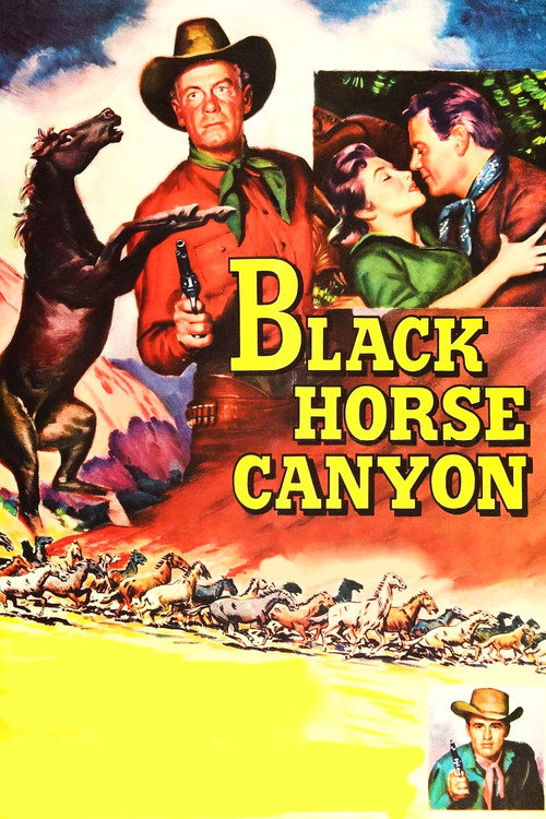 Black Horse Canyon постер