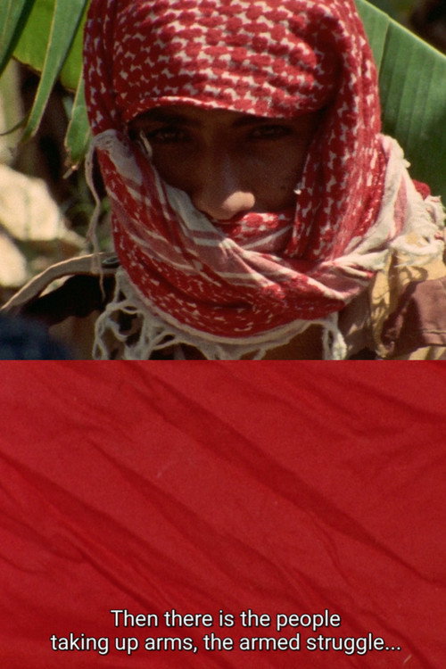 Here and Elsewhere постер