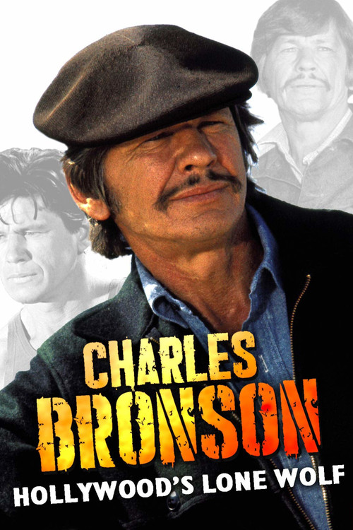 Charles Bronson, le génie du mâle постер